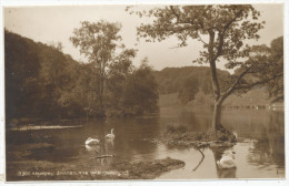 Arundel, Shambourne Lake - Arundel