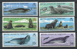 (cl. 8 - P22) Antarctique Britannique ** N° 118 à 123 (ref. Michel Au Dos) - Phoques, éléphants De Mer - - Unused Stamps