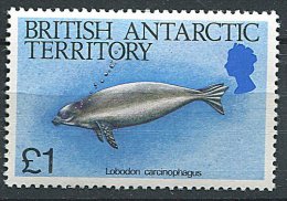 (cl. 8 - P22) Antarctique Britannique ** N°142 (ref. Michel Au Dos) - Phoque - - Unused Stamps