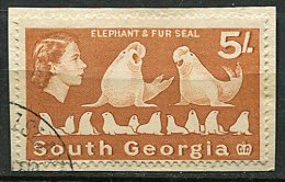 (cl. 8 - P23) Georgie Du Sud Ob N° 21 Sur Support (ref. Michel Au Dos)- Phoques Et éléphants De Mer - - Géorgie Du Sud
