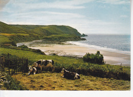 BEAUMONT HAGUE (50-Manche), La Hague, La Baie D´Ecalgrain, Vaches Normandes,  Ed. Le Goubey 1970 - Beaumont