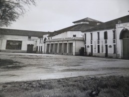 CPSM Paziols Aude Cave Coopérative - Autres & Non Classés