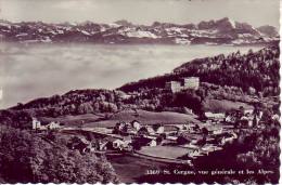 Vue Generale - Saint-Cergues