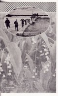 HAKODATE (Japon-Japan-Asie-Asia-Asien) Sowing Ice  At Goryokaku Hakodate-Récolte De La Glace-Fleur Muguet-VOIR 2 SCANS - - Autres & Non Classés