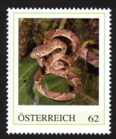ÖSTERREICH 2013 ** Riemennatter / Imandotes Cenchoa - PM Personalized Stamp MNH - Sellos Privados