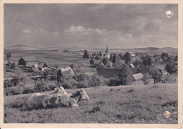 AK Landschaft Zu Johnsbach Im Erzgebirge - 1944  (16374) - Glashütte