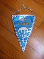 Fanion Allemand Moderne Du 1.L.L.DIV. Parachutiste - Flags