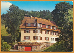 AK ´Baiersbronn / Schwarzwald´ ~ 1981 - Baiersbronn