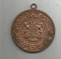 Médaille , Armoirie , Blason , Frais Fr : 1.50€ - Other & Unclassified