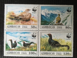 Birds 1994 - Azerbeidzjan