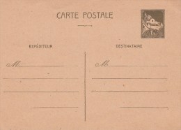 Entier Postal Au Type "Mosquée De La Pêcherie" - Covers & Documents