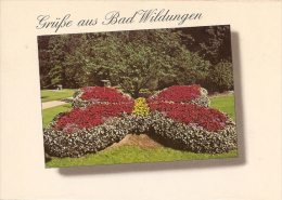 Bad Wildungen - Schmetterling Im Kurpark - Bad Wildungen