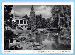 Bad Wildungen - S/w Seerosenteich Fackelteich Im Kurpark - Bad Wildungen