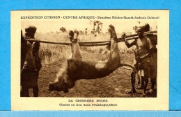 EXPEDITION CITROEN Du 28/10/1924 Au 26/06/1925 ( LA CROISIERE NOIRE )  -  * LA CHASSE AU LION DANS L' OUBANGUI - CHARI * - Africa
