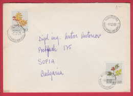 177507  /  1980 - GEBIRGSBLUMEN , RANUNCULUS GLACIALIS , POTENTILLA CRANTZII , KONGSGARO Norway Norvege Norweege - Storia Postale