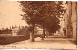 43. Montfaucon. L'esplanade Du Petit Fossé - Montfaucon En Velay