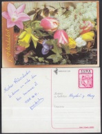 2000-EP-62 CUBA 2000. Ed.46c. MOTHER DAY SPECIAL DELIVERY. POSTAL STATIONERY. CESTA DE FLORES. FLOWERS. USED. - Covers & Documents