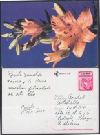 2000-EP-71 CUBA 2000. Ed.46o. MOTHER DAY SPECIAL DELIVERY. POSTAL STATIONERY. FLORES AMARILLAS. FLOWERS. USED. - Briefe U. Dokumente