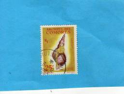 Archipel Des Comores-RF-timbre Oblitéré N°24 Coquillage--charonia Tritonis- Cote 16 Eu - Oblitérés