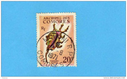 Archipel Des Comores-RF-timbre Oblitéré N° 23-coquillage-pterocera Scorpio-cote 13eu - Usados