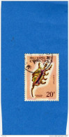Archipel Des Comores-RF-timbre Oblitéré N° 23-coquillage-pterocera Scorpio-cote 13eu - Usados