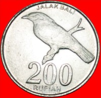 * BIRD: INDONESIA ★ 200 RUPIAH 2003! Not 2008! LOW START ★ NO RESERVE! - Indonésie