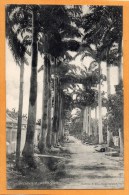 Belleville Barbados 1905 Postcard - Barbados