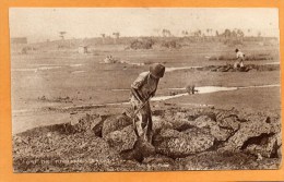 Pitch Lake Trinidad BWI 1910 Postcard - Trinidad