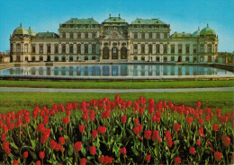 WIEN    BELVEDERE      (VIAGGIATA) - Belvedere