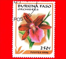 BURKINA FASO - Nuovo Oblit. - 1996 - Fiori - Orchidee - Miltonia - 250 - Burkina Faso (1984-...)