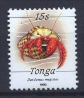 TONGA Shells - Tonga (1970-...)