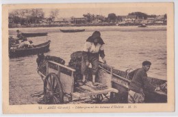 Arès (Gironde) - Déchargement Des Bateaux D'Huîtres - Arès