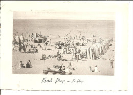 BERCK PLAGE    La Plage   No 1173   Civette De La Plage - Berck