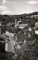 AK Münstereifel Bei Euskirchen, Bonn, Bad Godesberg, Siegburg -Bad Münstereifel-Blick V D Burg - Bad Muenstereifel