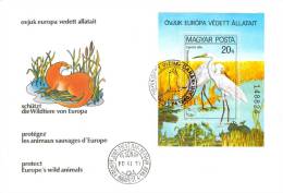 HUNGARY - 1980.FDC Sheet - European Nature Protection Year - Birds (Ducks) II. - FDC