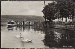 Beinwil Am See Schiff - Beinwil Am See