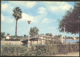 IRAQ IRAK BAGHDAD POSTCARD 1980 - Iraq