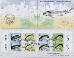 BG-2004-u17  Bulgaria / Bulgarie  2004  WWF - FISH ( Hausen ) Booklet - Used /oblitere (O) I-text The Front  Above - Gebruikt