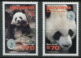 (cl. 8 - P43) (lot 1) Guyane ** Lot De 3 Tbres Année 1994 (ref. Michel Au Dos) -  Pandas - - Guyana (1966-...)