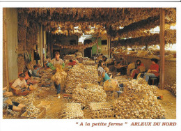ARLEUX (Vallée De La Sensée) Le Tressage De L´ail L. MERLIN - Producteur - Arleux