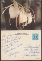 1982-EP-93 CUBA 1982. Ed.129f. MOTHER DAY SPECIAL DELIVERY. POSTAL STATIONERY. FLORES BLANCASº. FLOWERS. USED. - Lettres & Documents