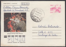 1990-EP-66 CUBA 1990. Ed.210c. POSTAL STATIONERY. ENTERO POSTAL. MARISCOS. FISH. CORAL DE LOS CANARREOS . TRINIDAD. USED - Storia Postale