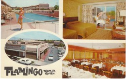Tucson Arizona, Flamingo Motor Hotel Motel Lodging, Interior View, C1960s Vintage Postcard - Tucson