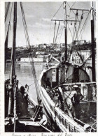 Delcampe - Ortona A Mare. Panorama Del Porto - Chieti