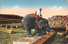 03676  "ELEPHANT PILING TEAK"  ANIMATA. CART. ILLUSTR. POST. ORIGINALE. NON SPEDITA - Myanmar (Burma)