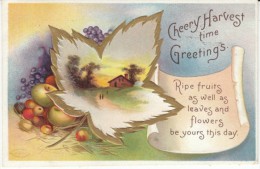 Clapsaddle Artist Signed, Cheery Harvest Time Greetings, C1900s/10s Vintage Postcard - Clapsaddle