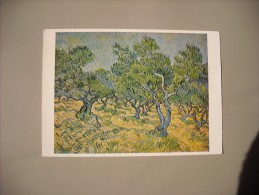 PAYS BAS HOLLAND GELDERLAND OTTERLO KRÖLLER-MÜLLER MUSEUM VINCENT VAN GOGH OLIVE TREES AT SAINT REMY - Ede