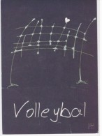 Volleybal - Volleybalstages - Gelopen - Voleibol