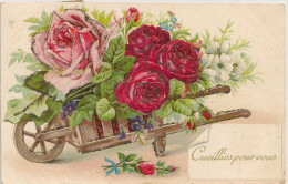Cpa Gaufrée Brouette & Roses - Andere