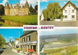 Souvenir De NANCAY - Le Château-Auberge "Les Maulnes" Un Coin Du Pays- Le Grand Miroir Solaire - Nançay